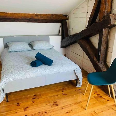 Spacieux Appartement En Plein Coeur De Castres カストル エクステリア 写真