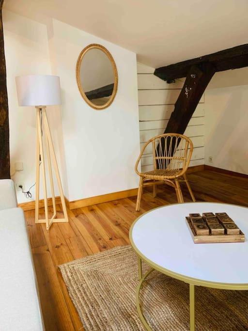 Spacieux Appartement En Plein Coeur De Castres カストル エクステリア 写真