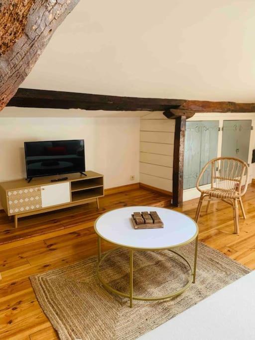 Spacieux Appartement En Plein Coeur De Castres カストル エクステリア 写真