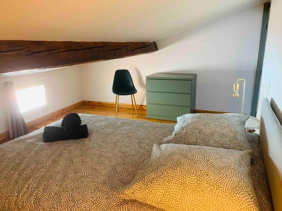 Spacieux Appartement En Plein Coeur De Castres カストル エクステリア 写真